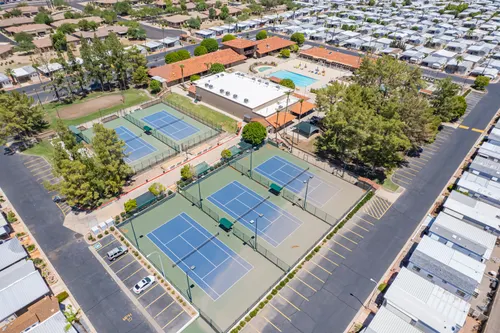 Arizona Citrus Grove in Mesa, Arizona